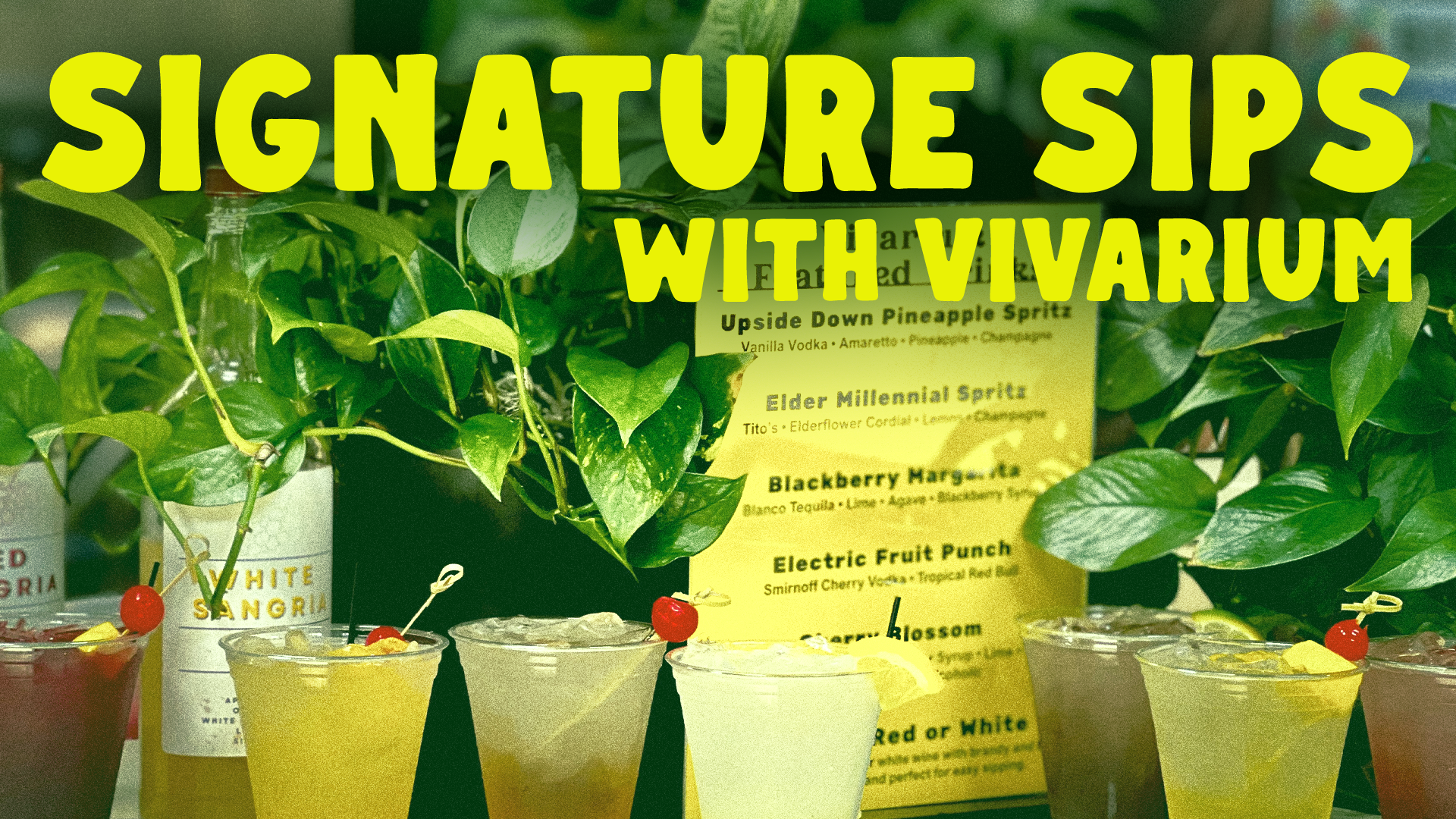 More Info for Signature Sips with Vivarium