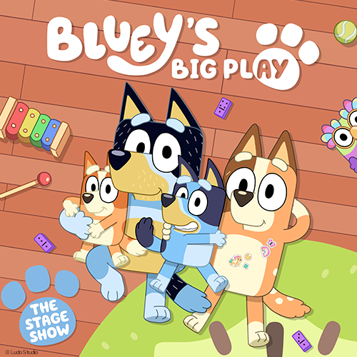 More Info for Bluey's Big Play