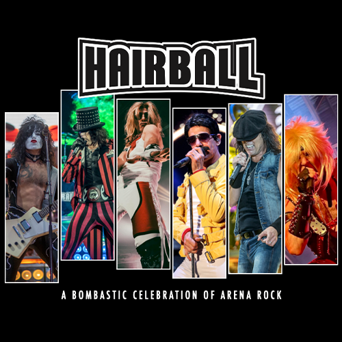 More Info for Hairball