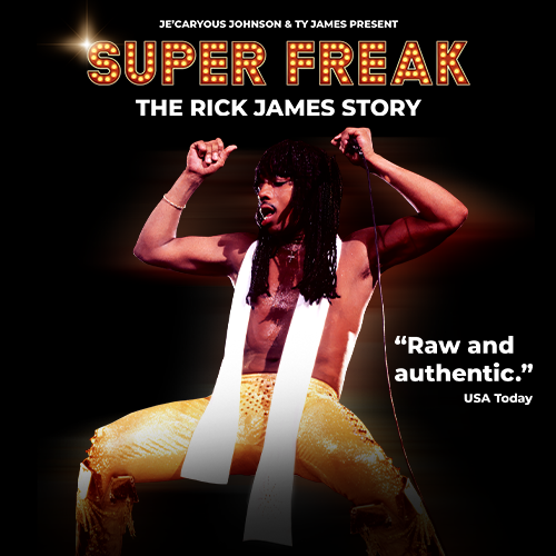 More Info for Super Freak: The Rick James Story