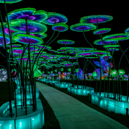 China Lights | The Pabst Theater Group