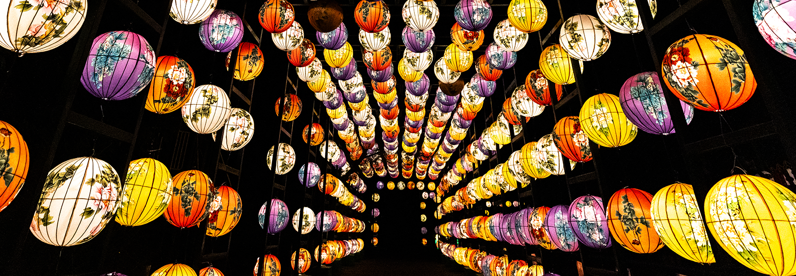 China Lights: Magical Forest