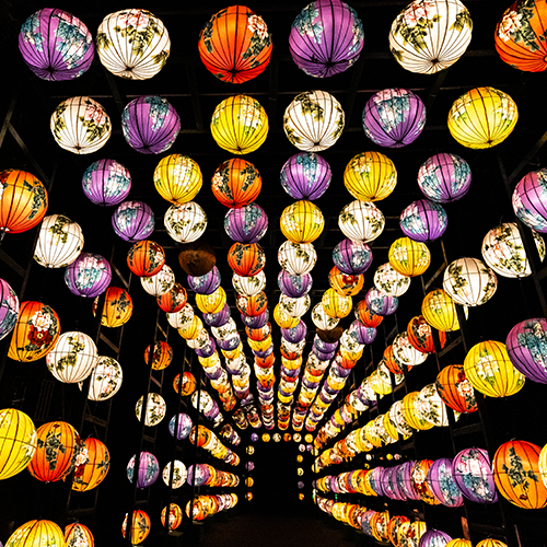More Info for China Lights: Magical Forest