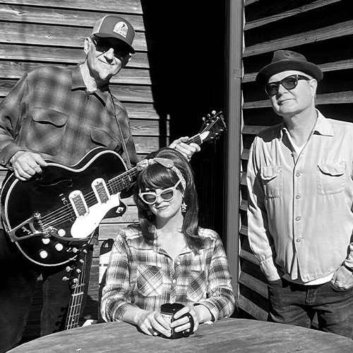 More Info for Southern Culture on the Skids