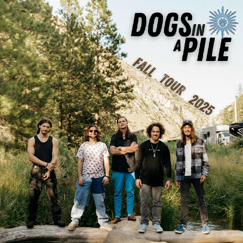More Info for Dogs In A Pile