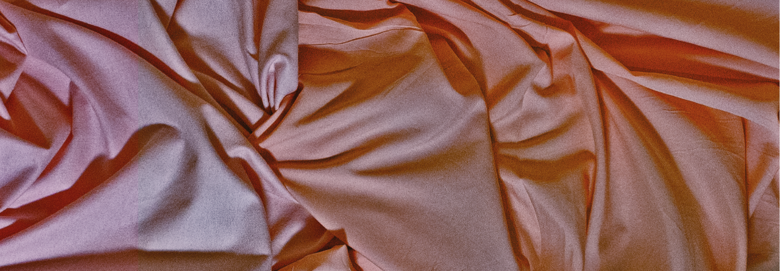Cate Le Bon