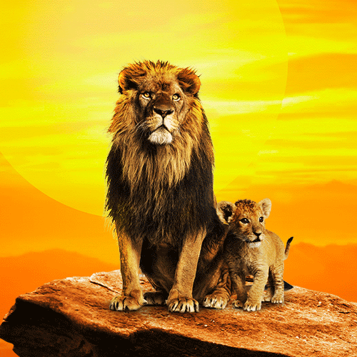 More Info for The Music of The Lion King - Live in Concert