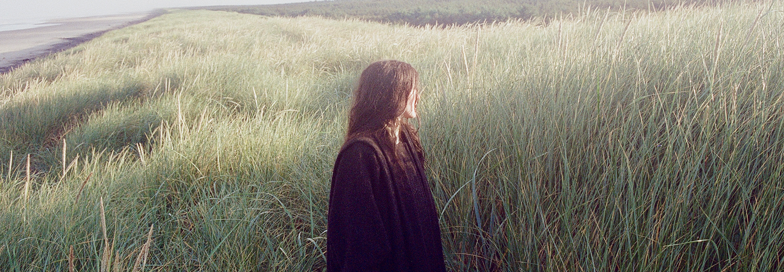 SEAROWS  – Death in the Business of Whaling