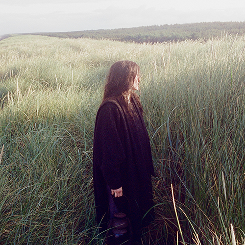 More Info for SEAROWS  – Death in the Business of Whaling