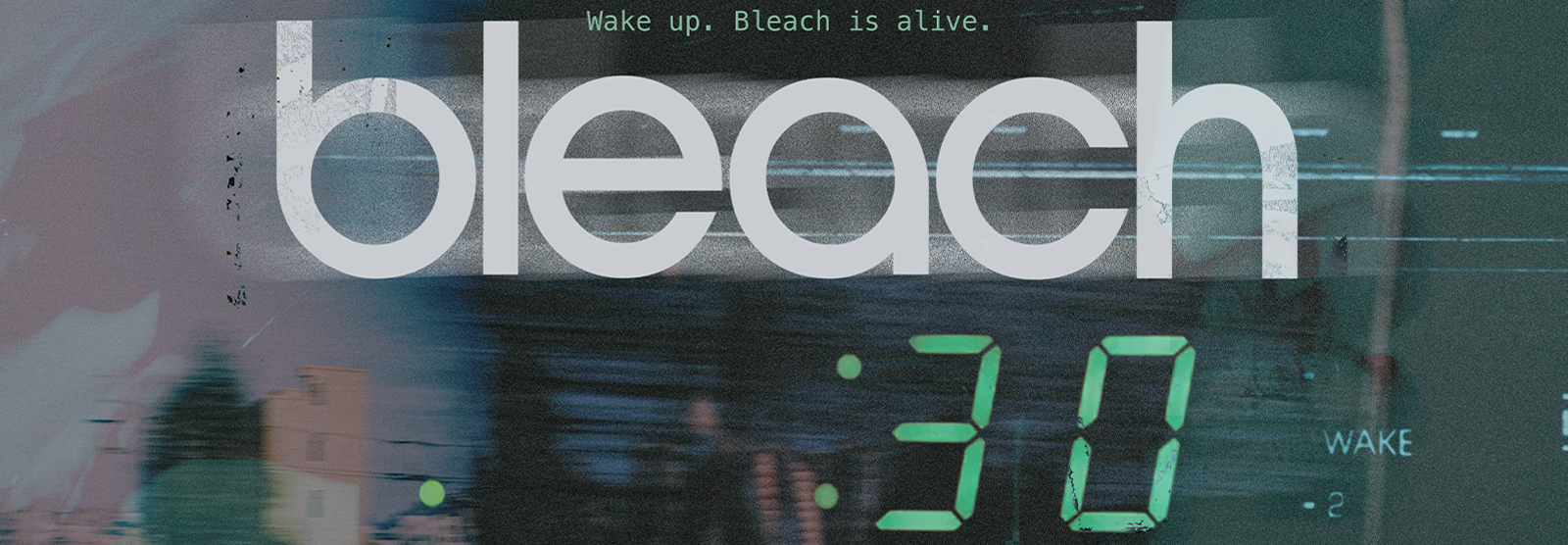 Bleach: 30 Year Anniversary Tour