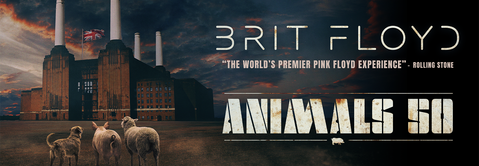 BRIT FLOYD – ANIMALS 50