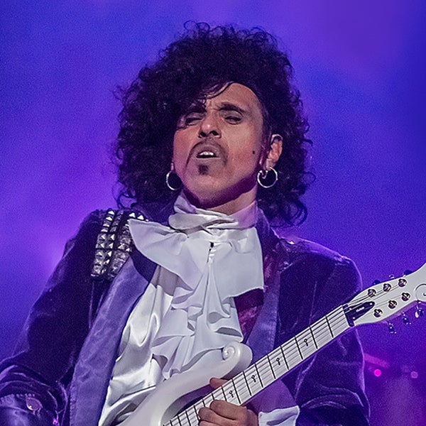 More Info for The Prince Experience